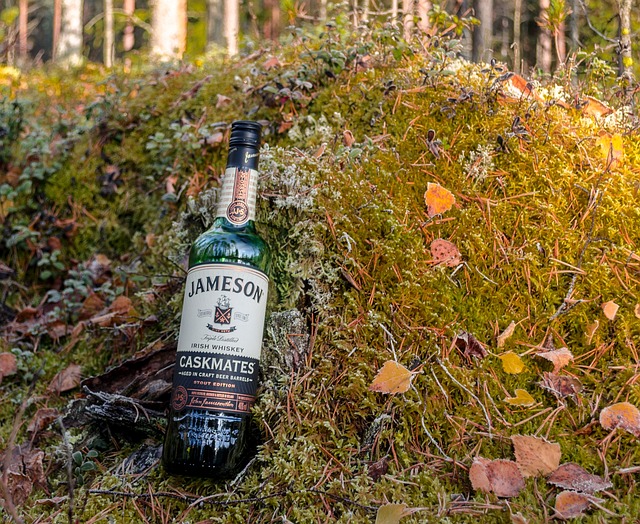2. Jameson Irish Whiskey: An Iconic Taste of Ireland's Finest
